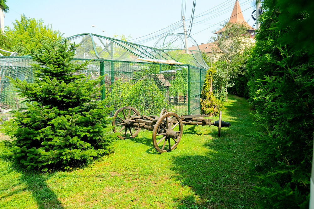 Pension La Cupola Târgu-Mureş Exterior foto